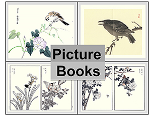 Picture Book Blog